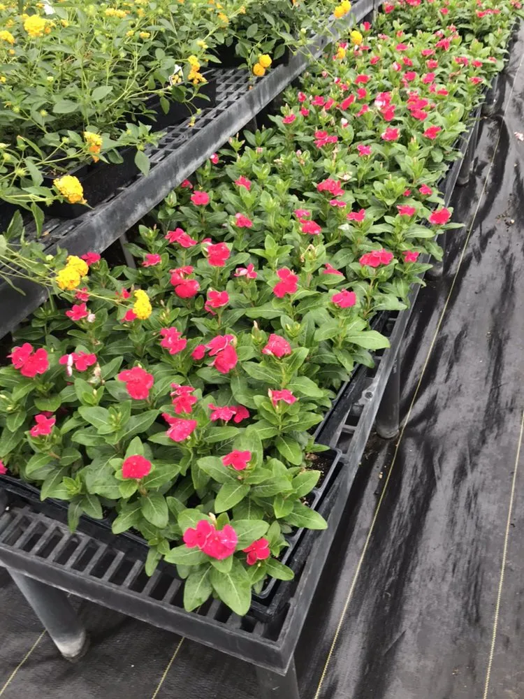 Professional residential landscaping in Granbury, TX - North Texas Lawn LLC