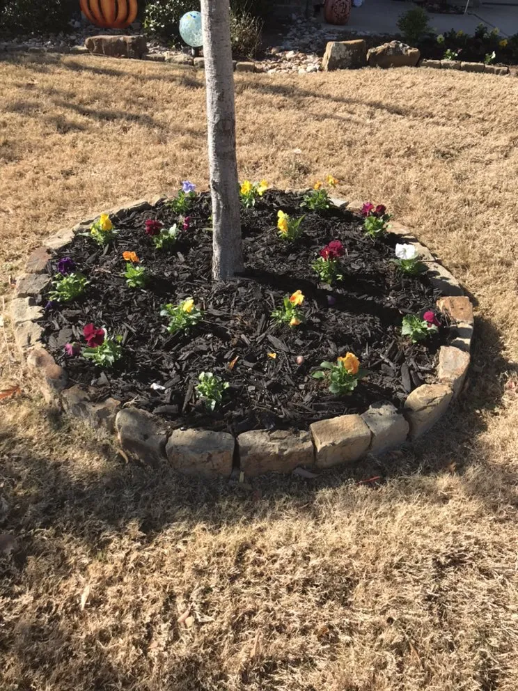 Trusted yard maintenance for beautiful yards across Granbury, TX - North Texas Lawn LLC