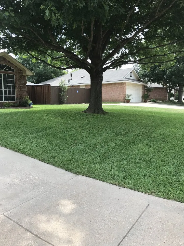 Affordable landscape design experts serving Granbury, TX - North Texas Lawn LLC