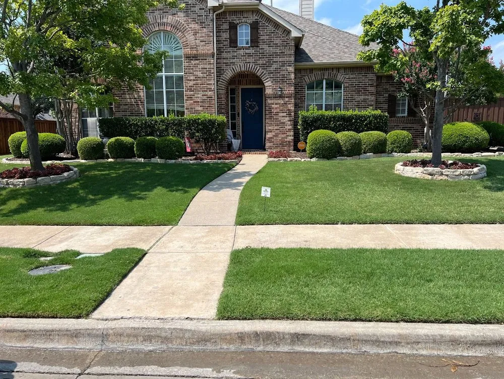 Professional yard maintenance experts serving Little Elm, TX - North Texas Lawn Solutions