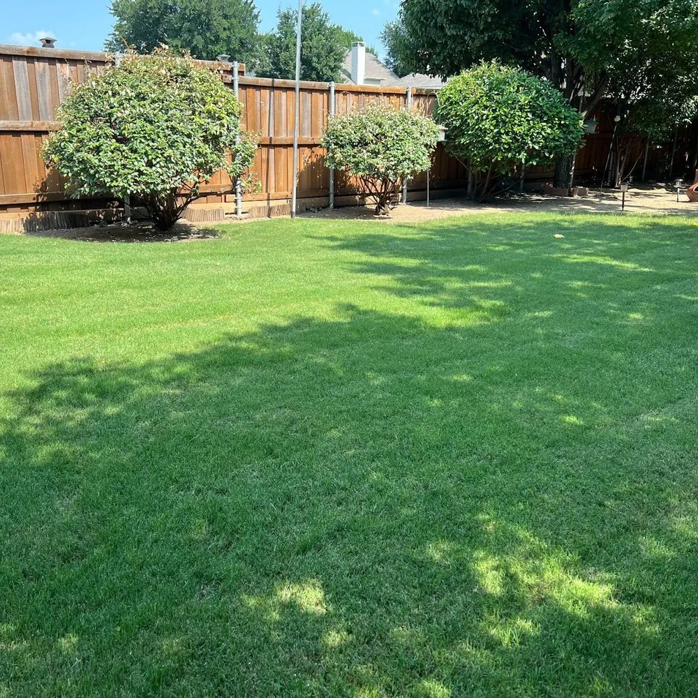 Trusted yard cleanup service for year-round maintenance across Little Elm, TX - North Texas Lawn Solutions