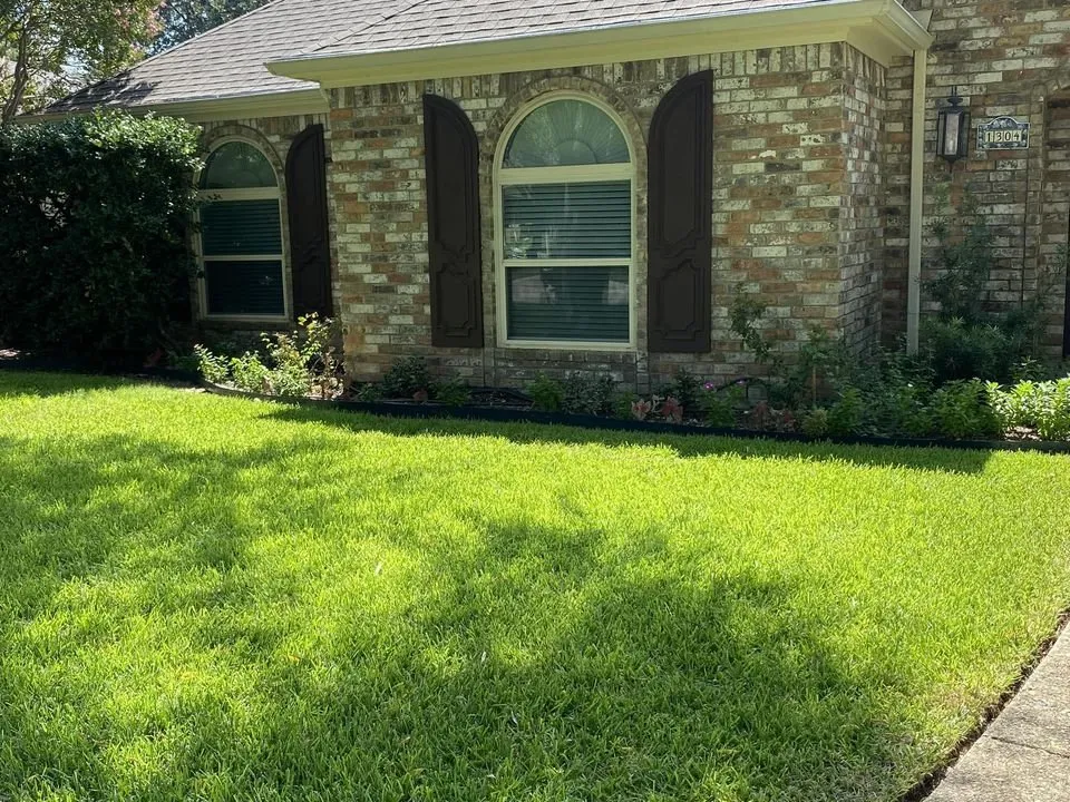 Local yard cleanup service experts serving Little Elm, TX - North Texas Lawn Solutions