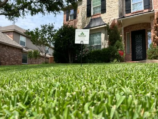 North Texas Lawn Solutions