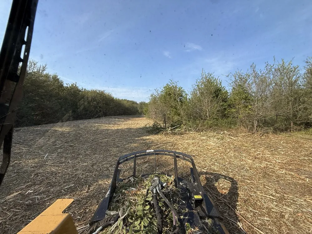 Local yard maintenance in Caddo Mills, TX by North Texas Skid Loader Services