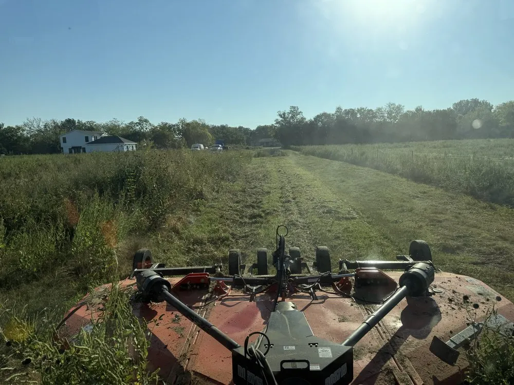 Top-rated yard cleanup service experts serving Caddo Mills, TX - North Texas Skid Loader Services