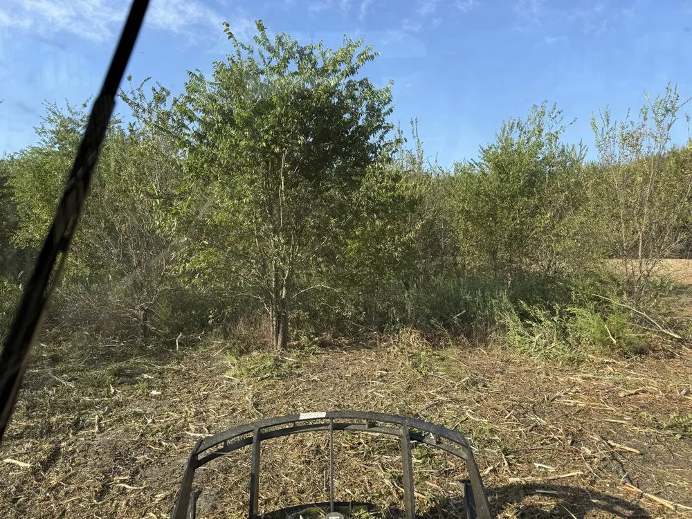 Trusted lawn care service for beautiful yards across Caddo Mills, TX - North Texas Skid Loader Services