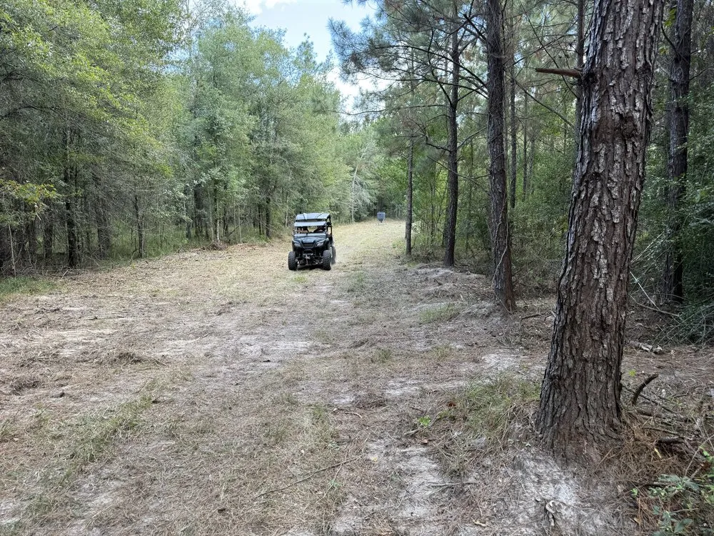 Trusted landscape design for outdoor upgrades in Caddo Mills, TX by North Texas Skid Loader Services