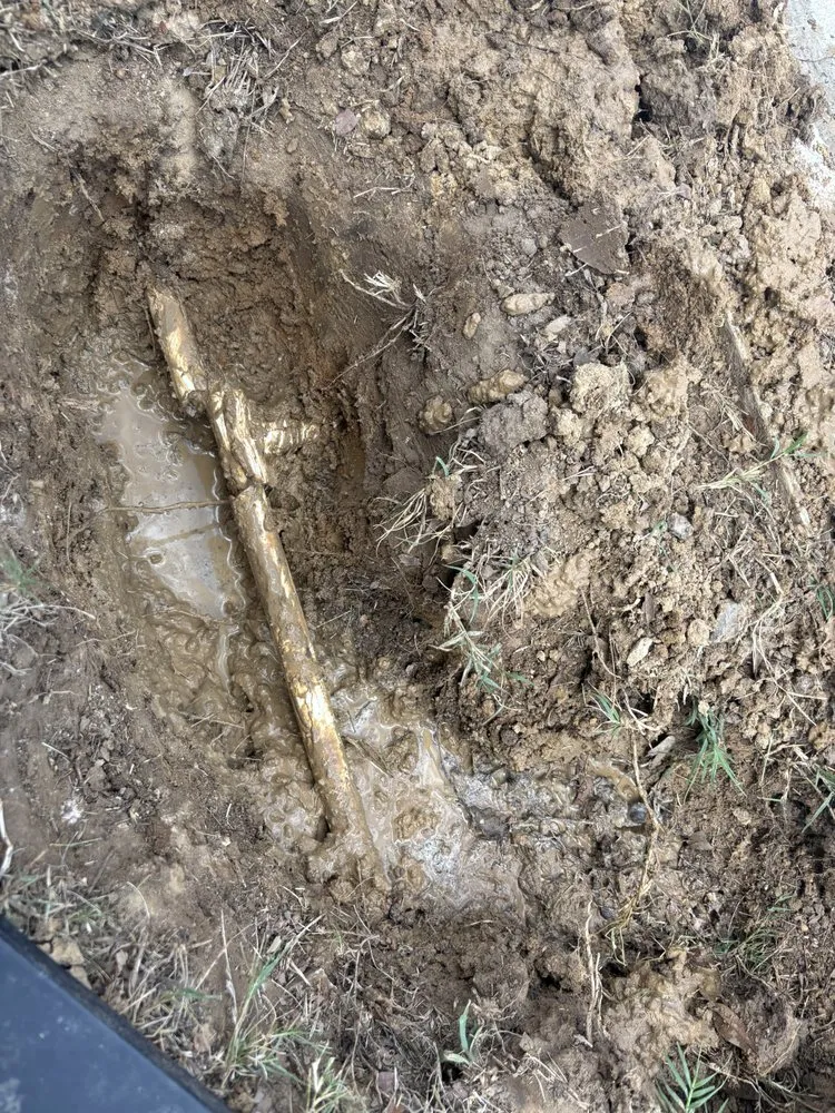 Local yard cleanup service for outdoor upgrades in Denton, TX by North Texas Sprinkler Repair