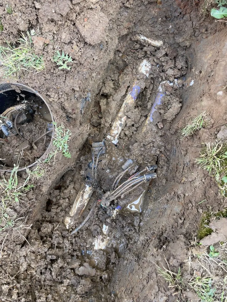 Expert lawn care service in Denton, TX - North Texas Sprinkler Repair