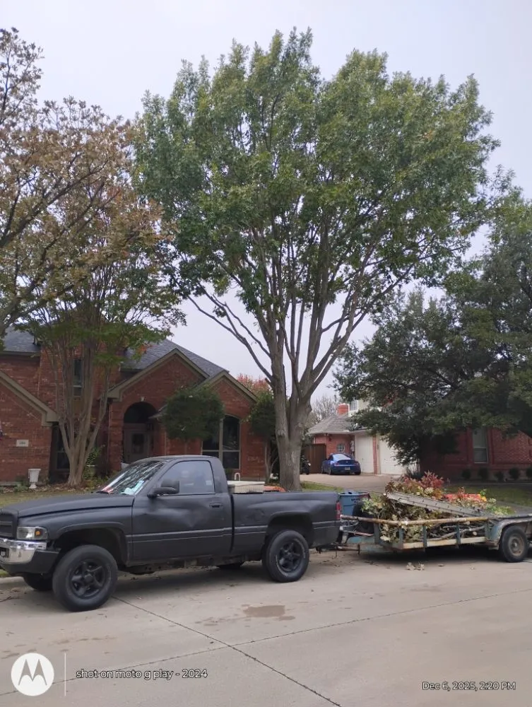 Trusted yard cleanup service for homes across Flower Mound, TX - North Texas Tree Services