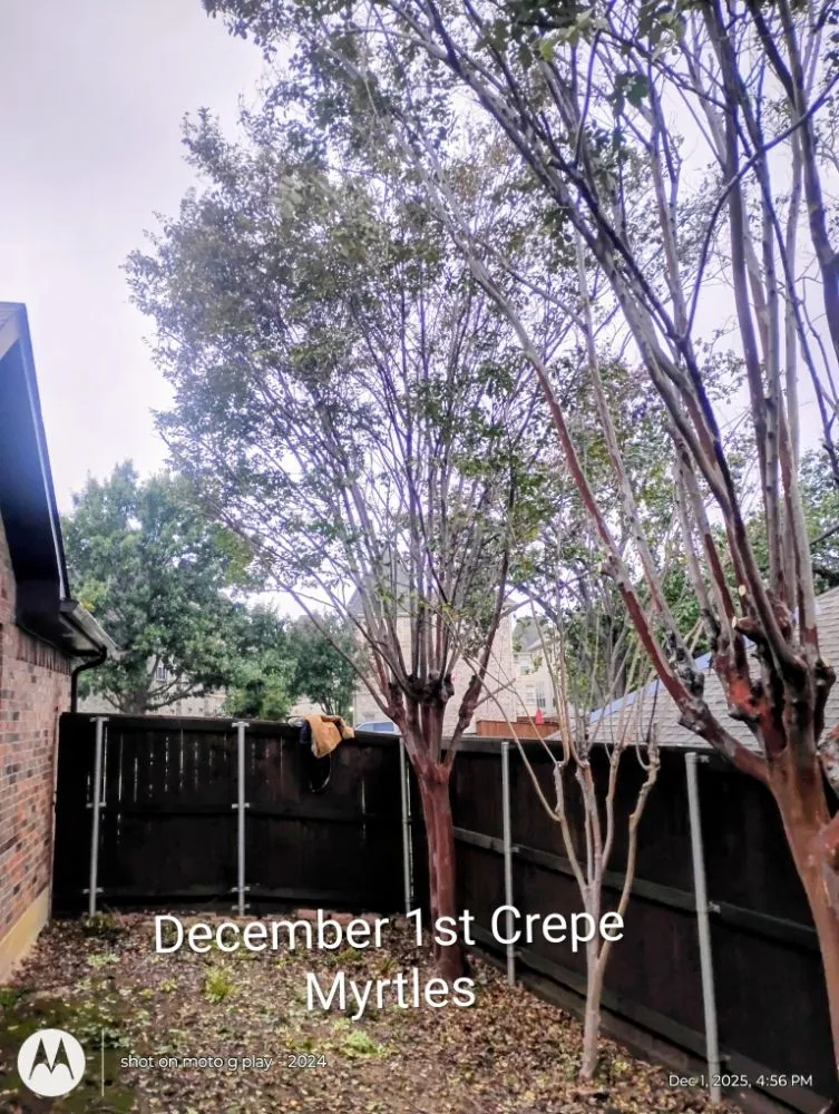 Custom lawn mowing service in Flower Mound, TX - North Texas Tree Services