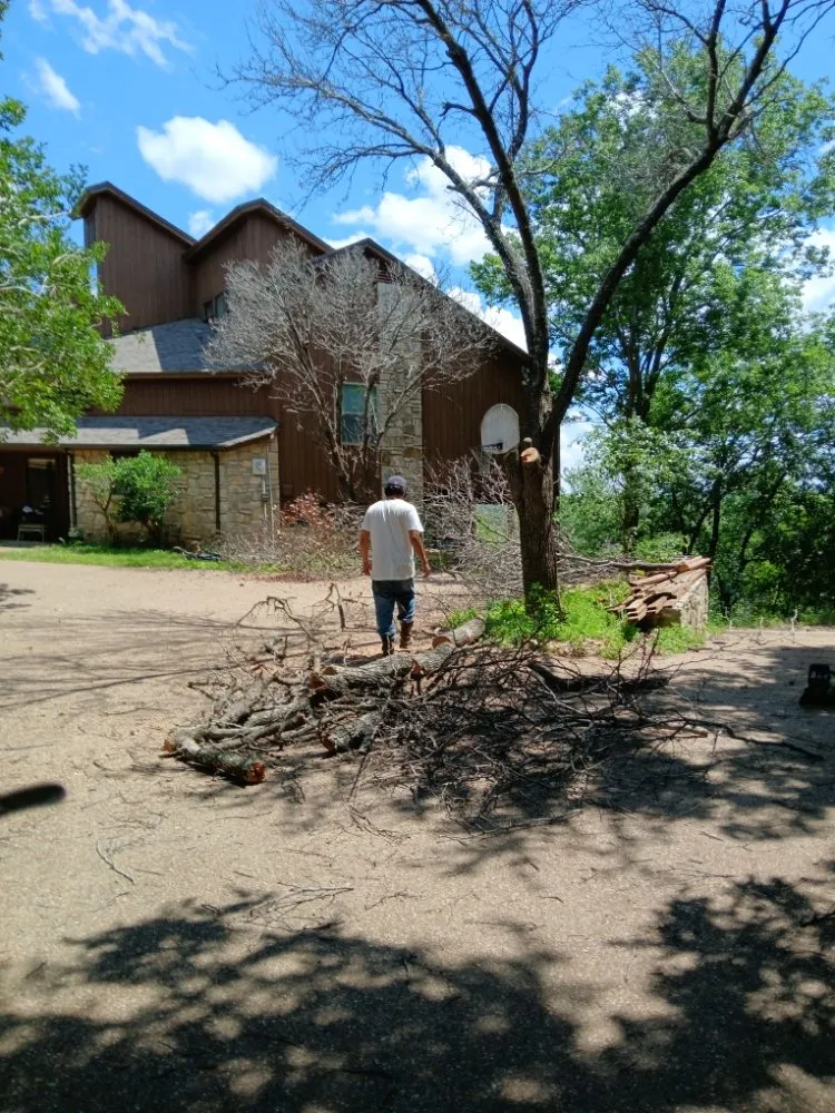 Custom residential landscaping near you in Flower Mound, TX by North Texas Tree Services