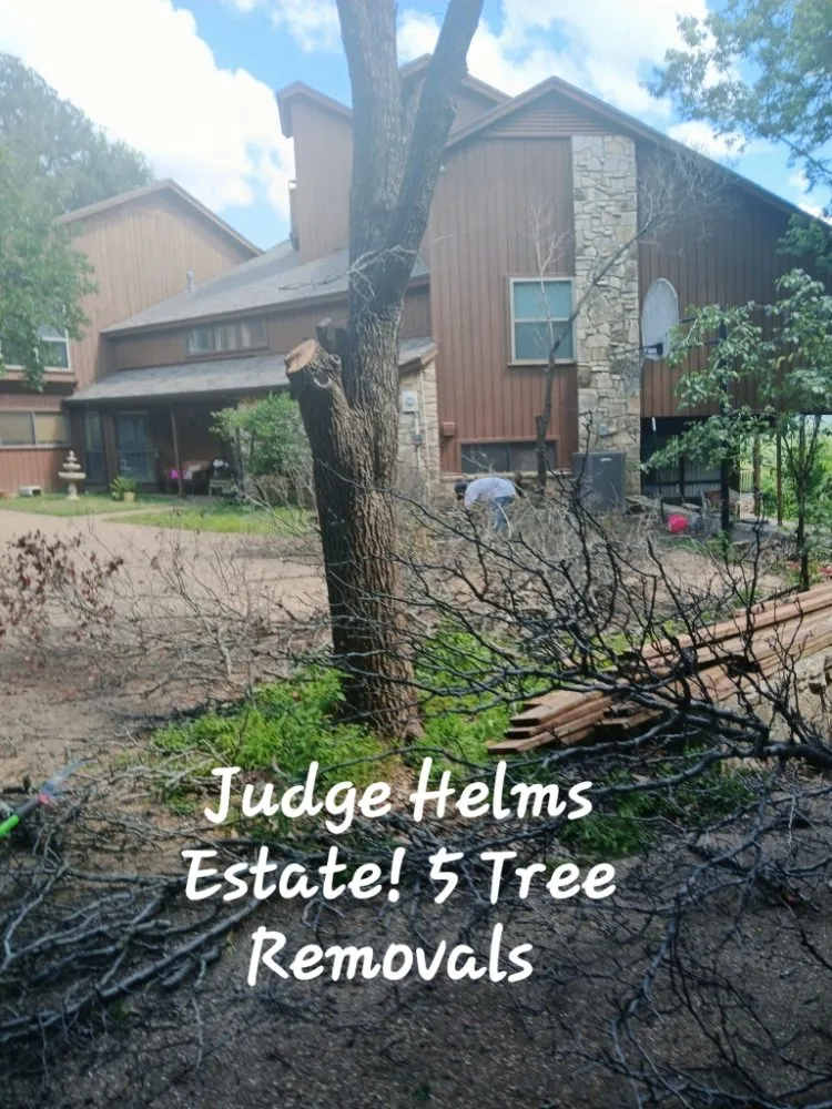 Trusted landscape installation for outdoor upgrades in Flower Mound, TX by North Texas Tree Services