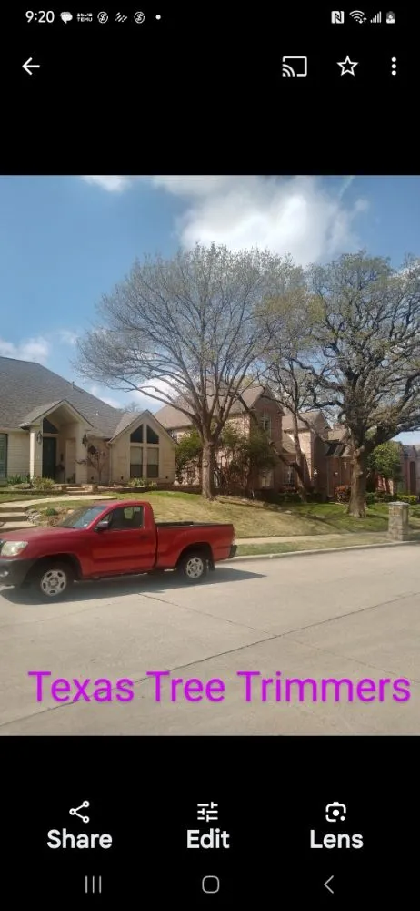Trusted residential landscaping for residential properties across Flower Mound, TX - North Texas Tree Services