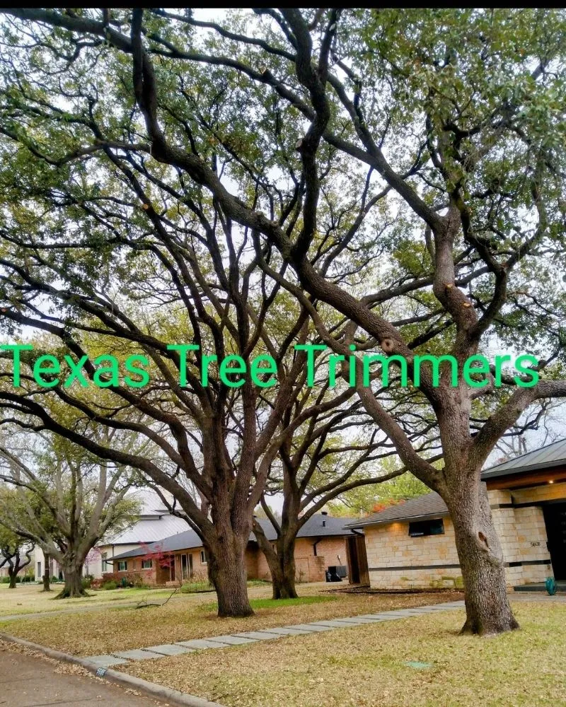 Professional landscape design experts serving Flower Mound, TX - North Texas Tree Services