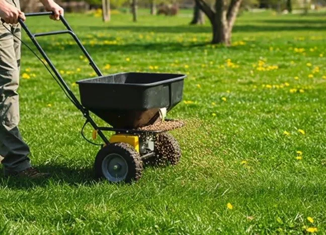 Local landscaping services in Sherman, TX by North Texas Turf Management