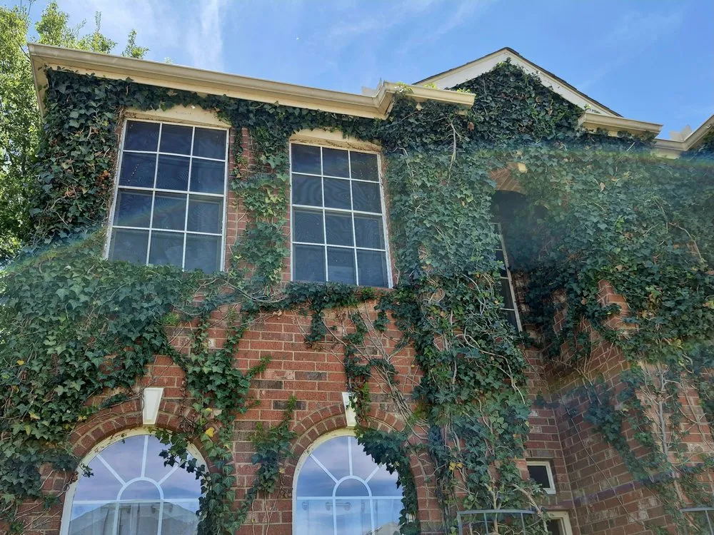 Reliable lawn mowing service experts serving Tioga, TX - North Texas Yard Works