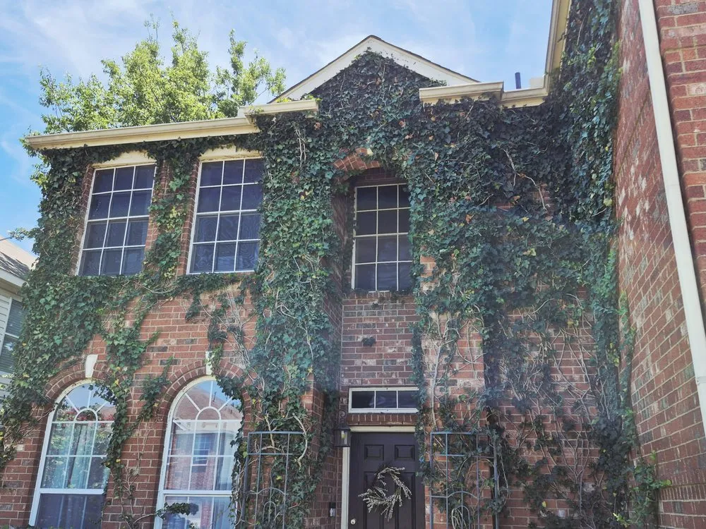 Trusted garden landscaping experts serving Tioga, TX - North Texas Yard Works