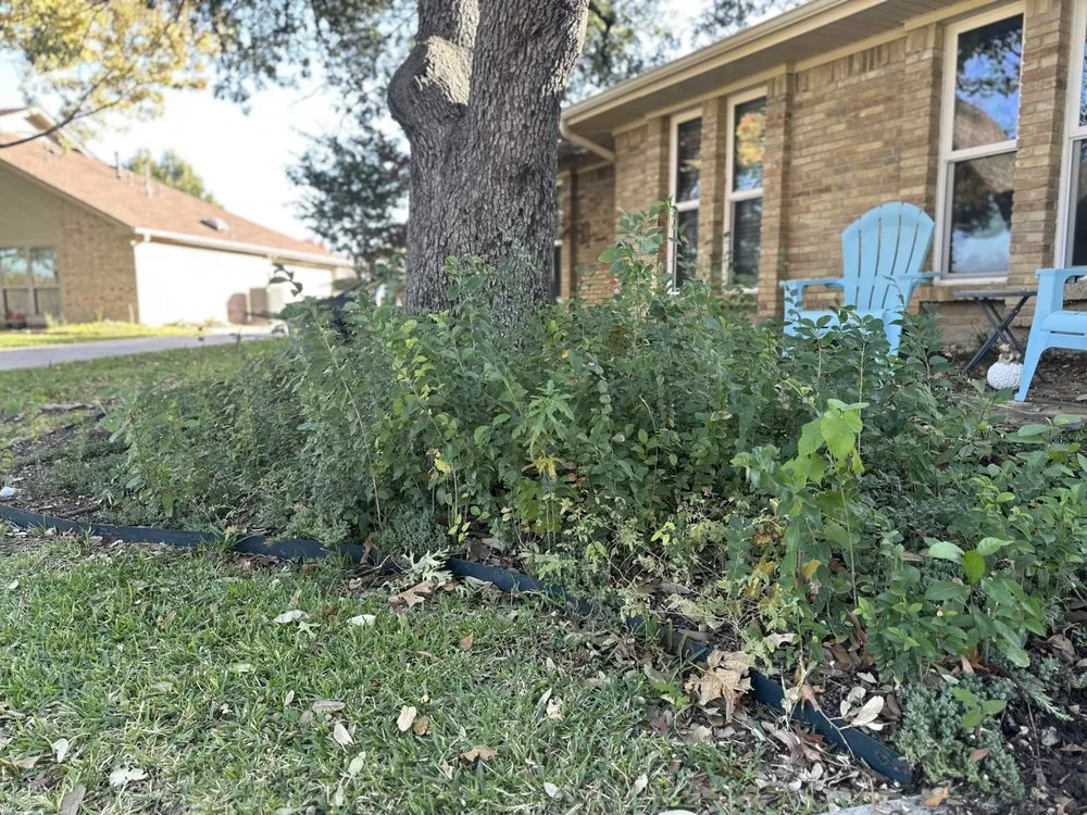 Trusted yard maintenance in Tioga, TX by North Texas Yard Works