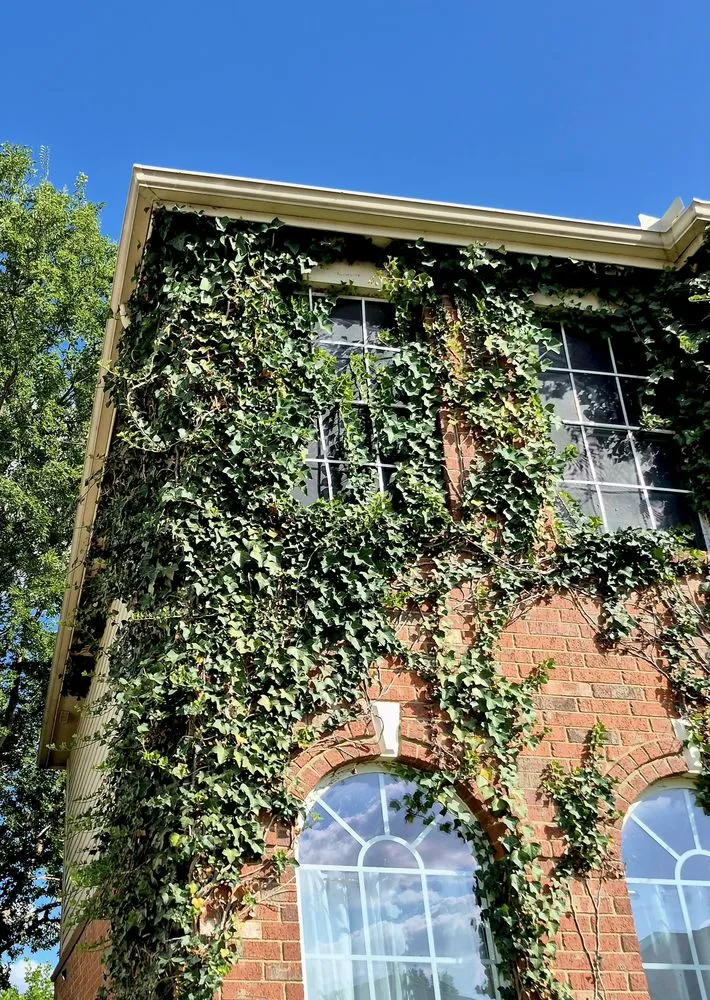 Top-rated garden landscaping in Tioga, TX by North Texas Yard Works