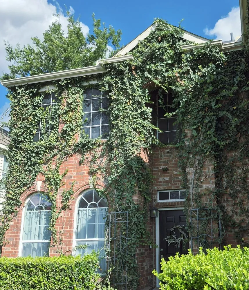 Local landscaping services in Tioga, TX - North Texas Yard Works