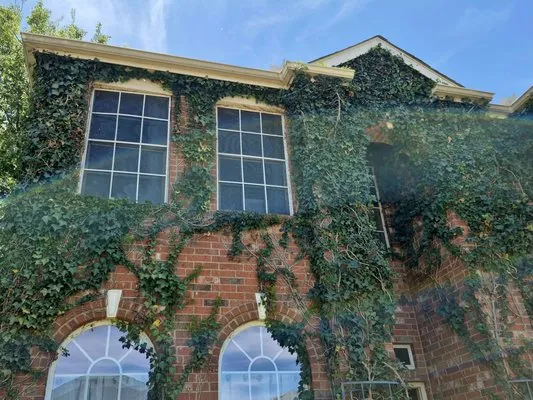 North Texas Yard Works