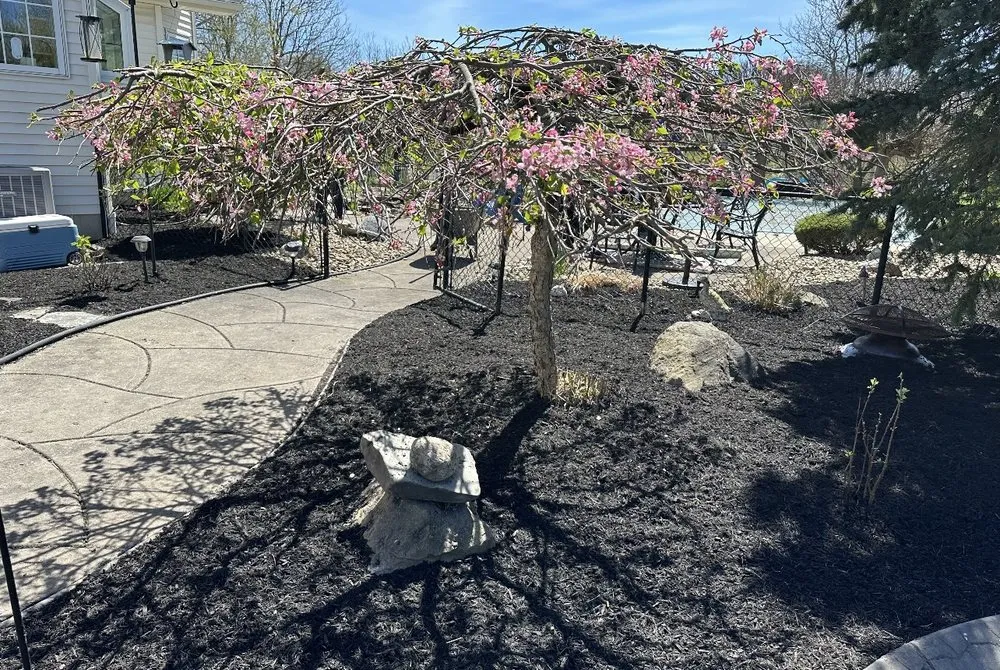 Top-rated garden landscaping experts serving Buffalo, NY - North town landscaping