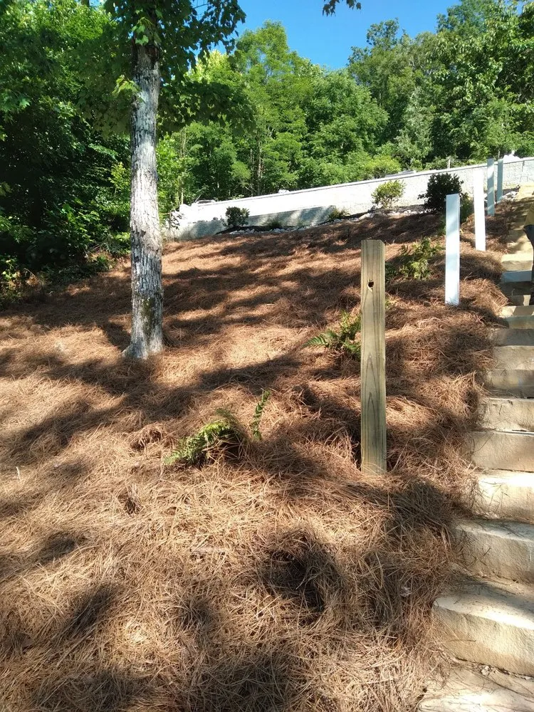 Affordable landscaping services for year-round maintenance in Knoxville, TN by North valley