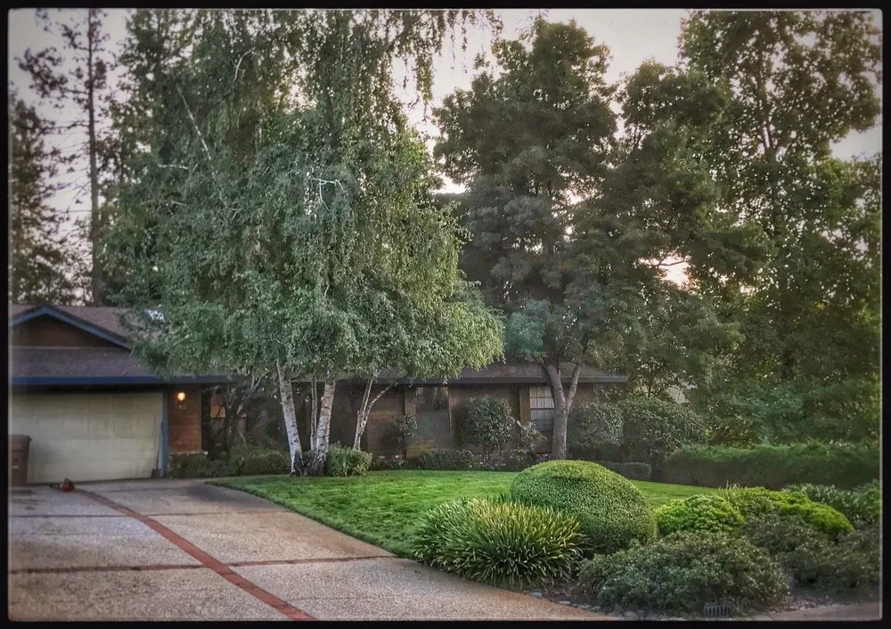 Reliable lawn care service experts serving Chico, CA - North Valley Lawn Care