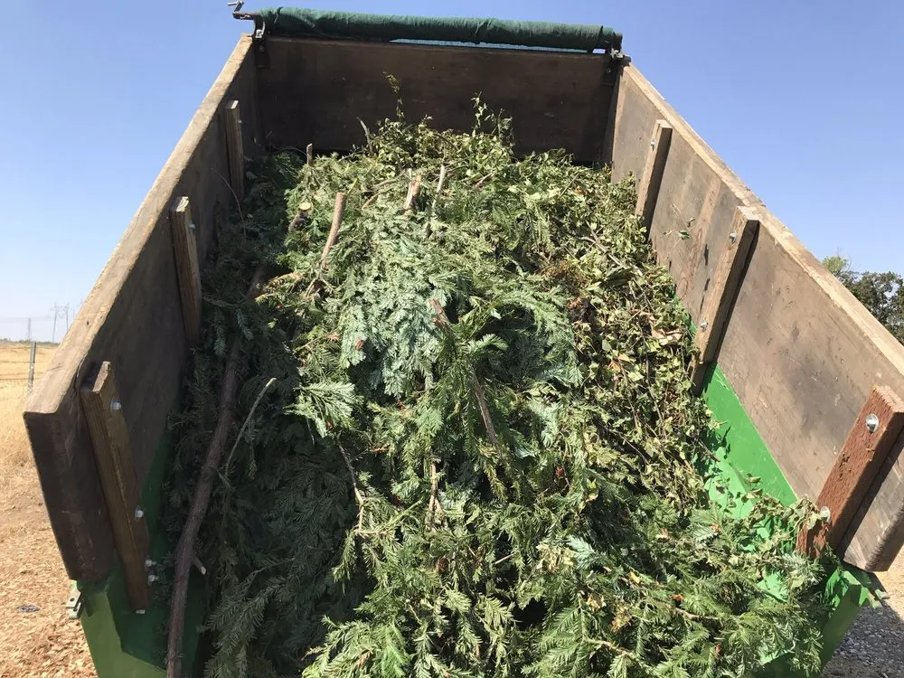 Professional landscape installation experts serving Chico, CA - North Valley Lawn Care