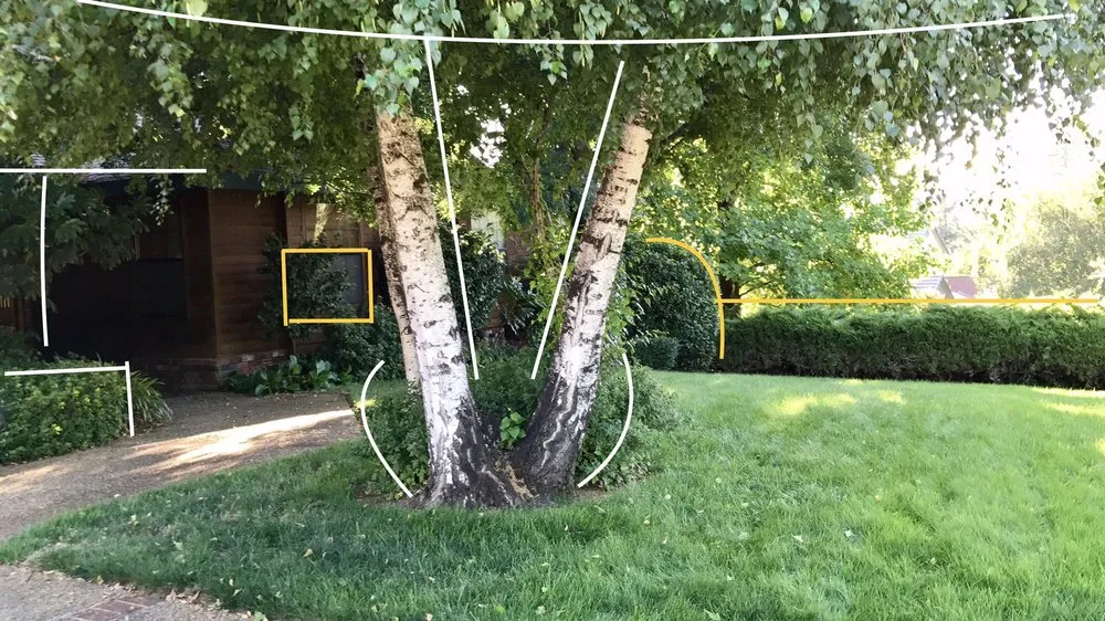 Professional yard maintenance in Chico, CA by North Valley Lawn Care