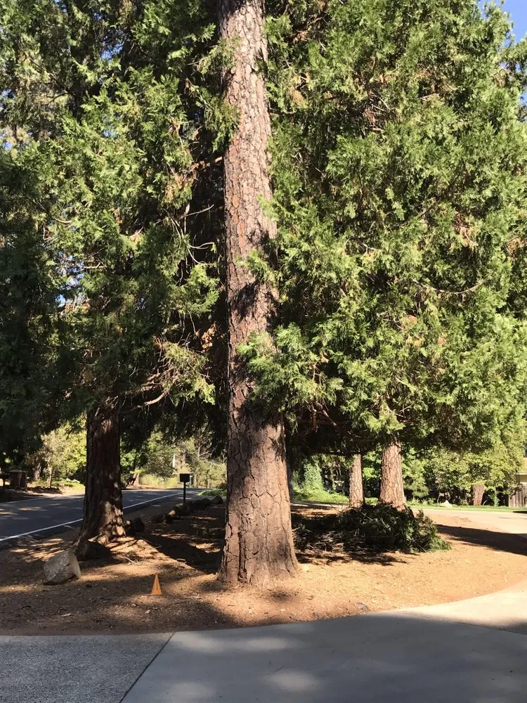 Custom outdoor landscaping for homes across Chico, CA - North Valley Lawn Care