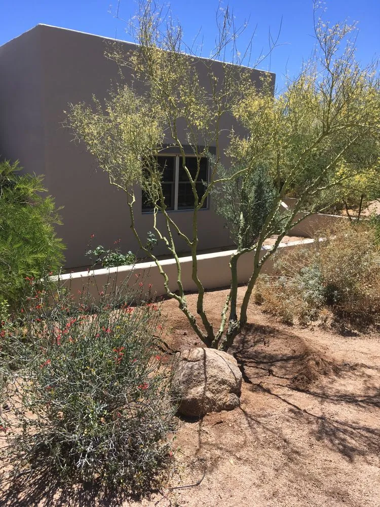 Custom garden landscaping experts serving Phoenix, AZ - North Valley Lawn Care