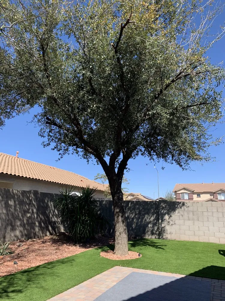 Custom landscaping services for outdoor upgrades in Phoenix, AZ by North Valley Lawn Care