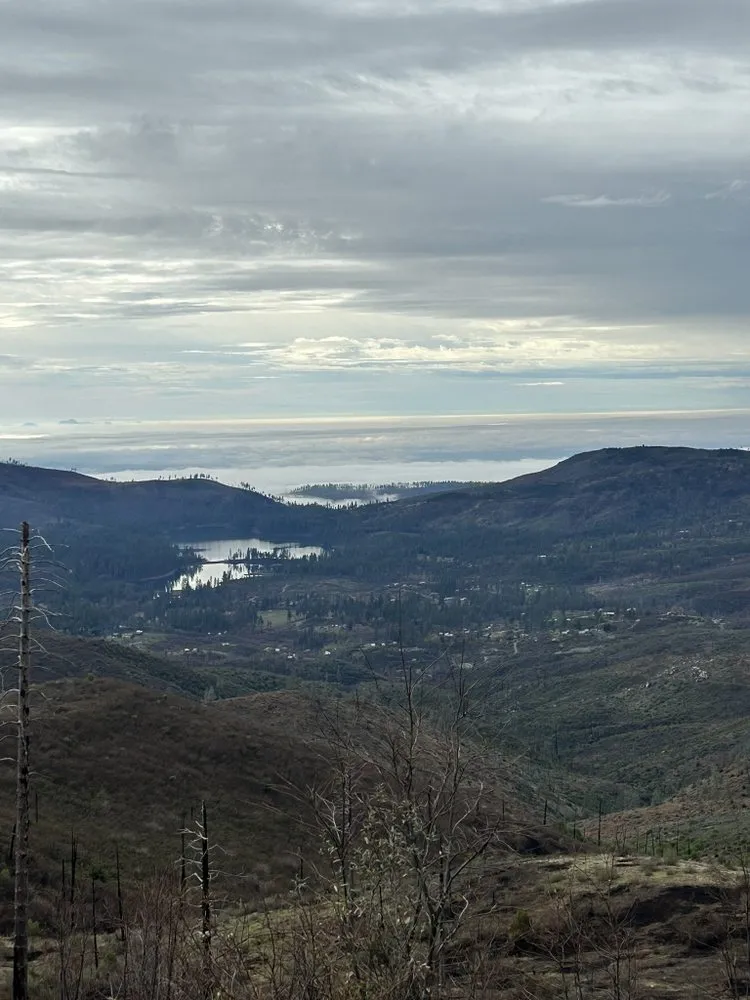 Affordable yard maintenance in Chico, CA by North Valley Property Care