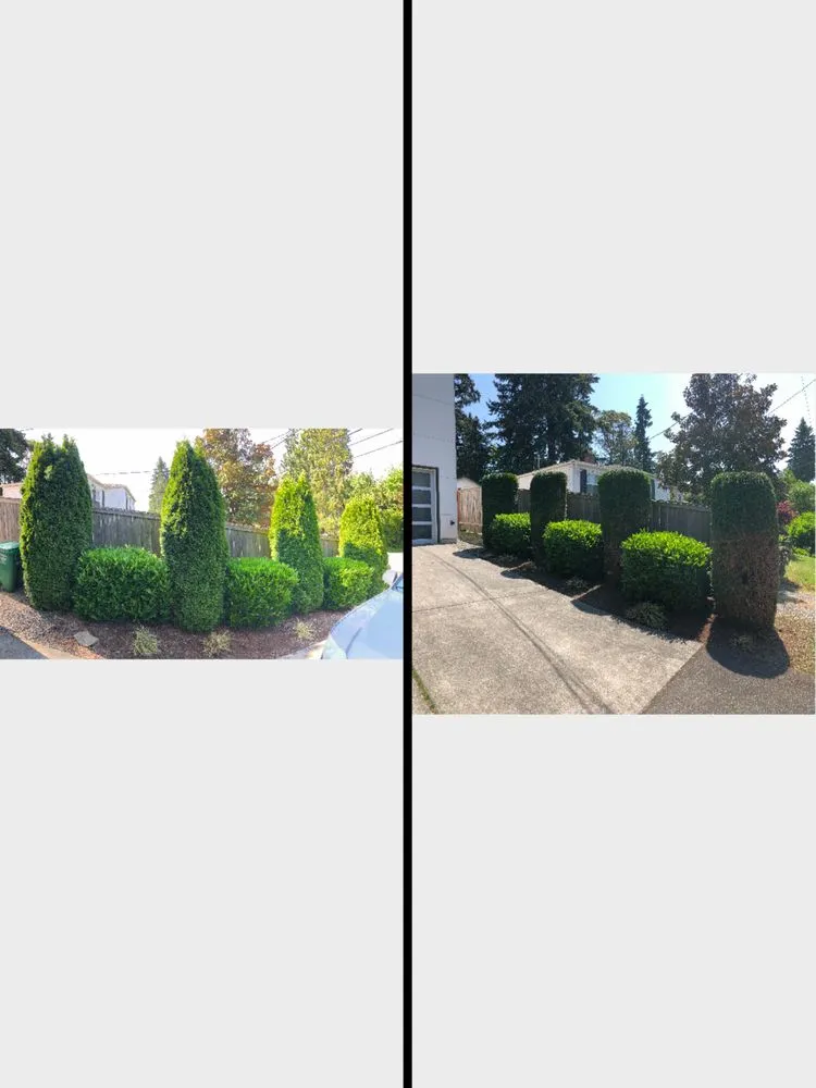 Trusted garden landscaping for residential properties in Snohomish, WA by North Valley Tree Care