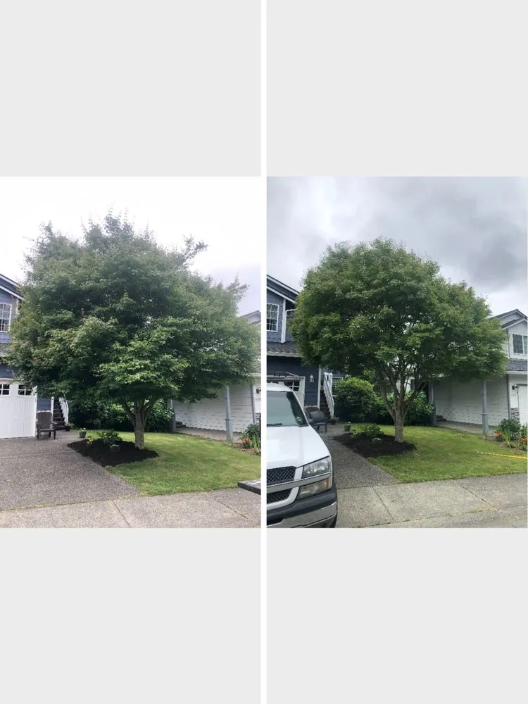 Top-rated garden landscaping for outdoor upgrades across Snohomish, WA - North Valley Tree Care