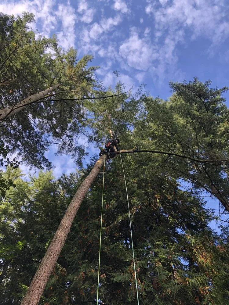 Top-rated residential landscaping in Snohomish, WA by North Valley Tree Care