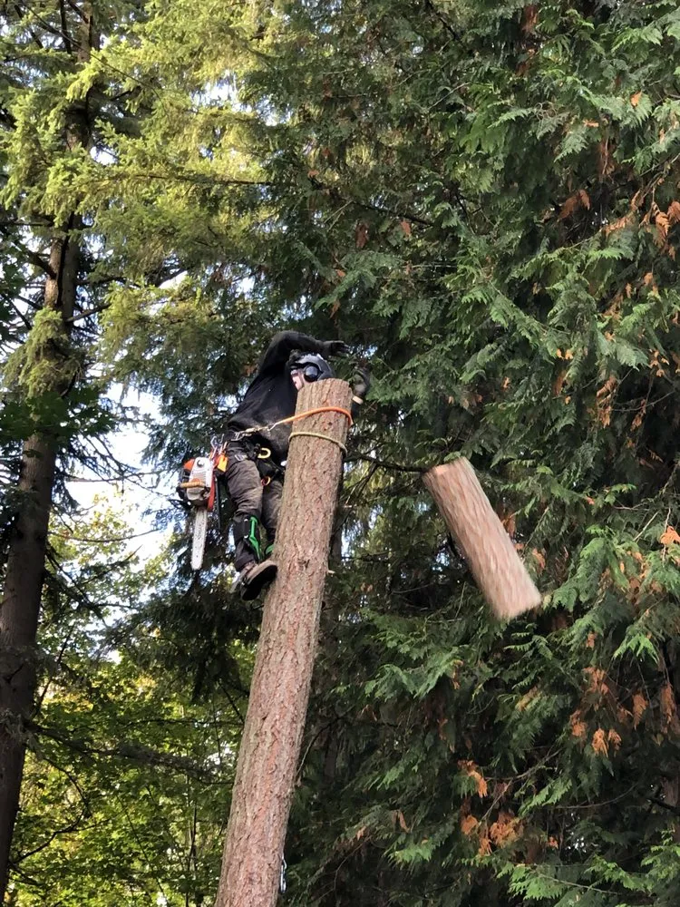 Expert garden landscaping for beautiful yards across Snohomish, WA - North Valley Tree Care