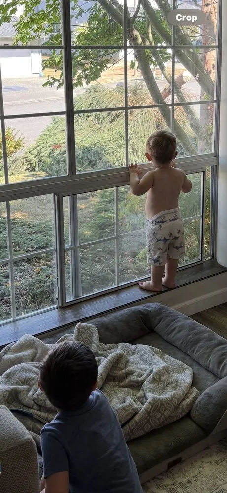 Custom outdoor landscaping experts serving Snohomish, WA - North Valley Tree Care