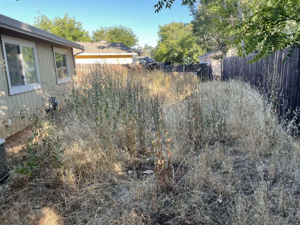 Reliable outdoor landscaping for homes across Redding, CA - North Valley Tree Service