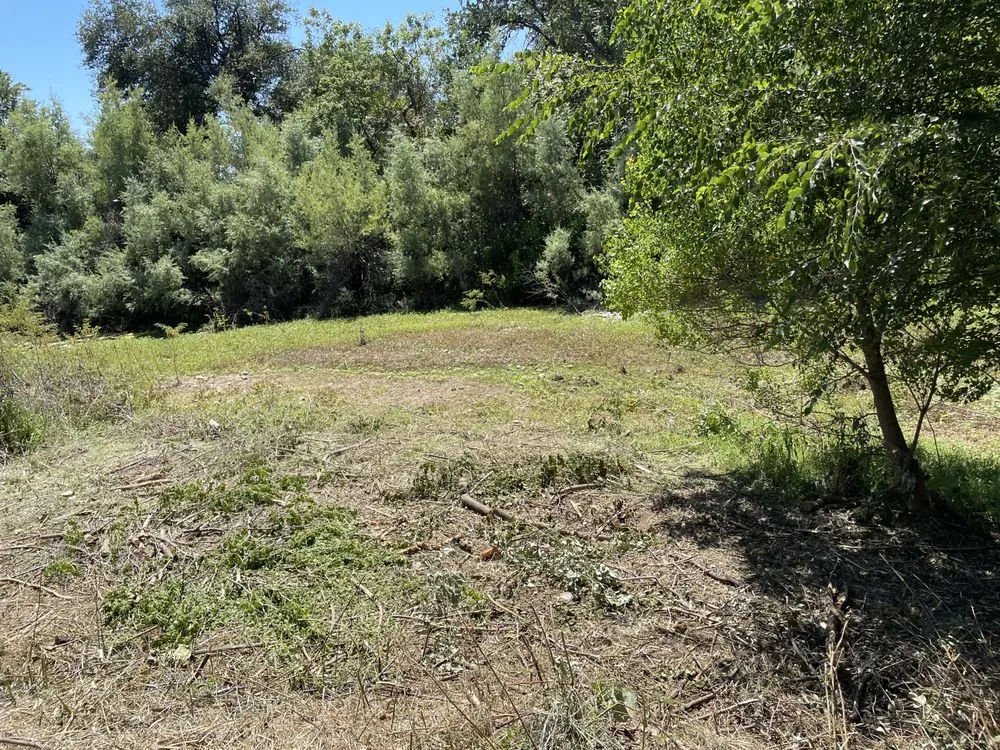 Custom landscape design for beautiful yards across Redding, CA - North Valley Tree Service