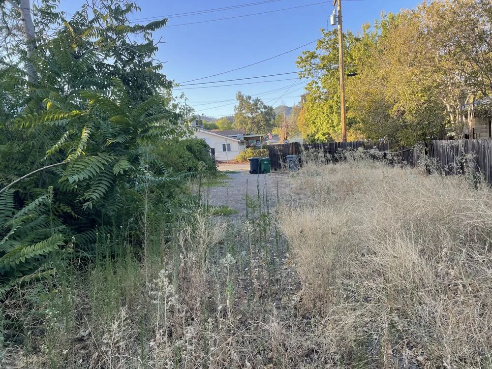 Reliable landscaping services for beautiful yards in Redding, CA by North Valley Tree Service