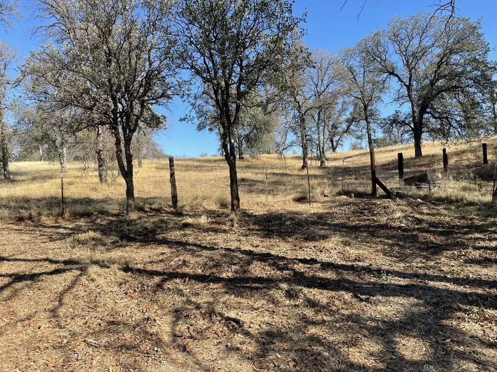 Expert outdoor landscaping for beautiful yards across Redding, CA - North Valley Tree Service