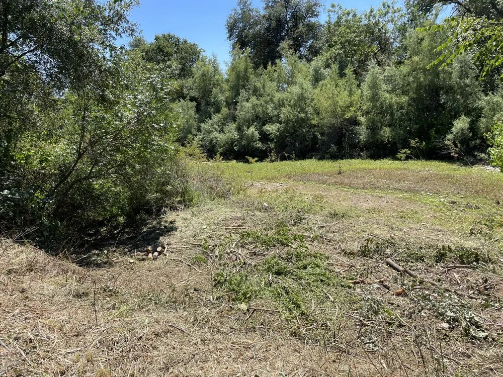 Trusted landscaping services for year-round maintenance in Redding, CA by North Valley Tree Service