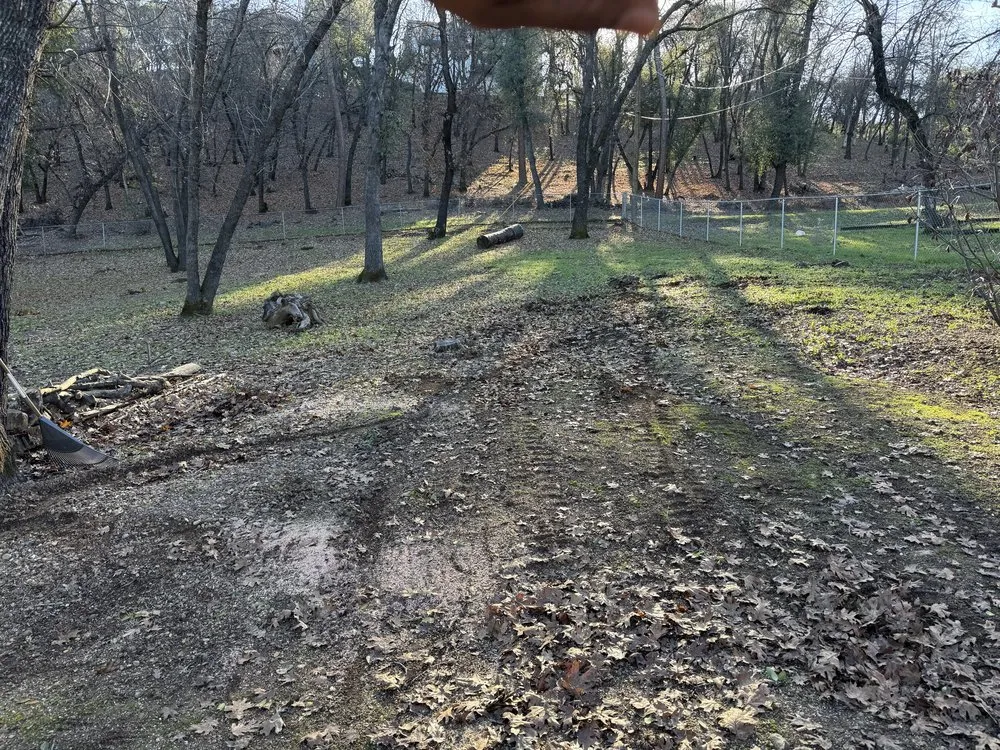 Professional landscape installation in Redding, CA - North Valley Tree Service