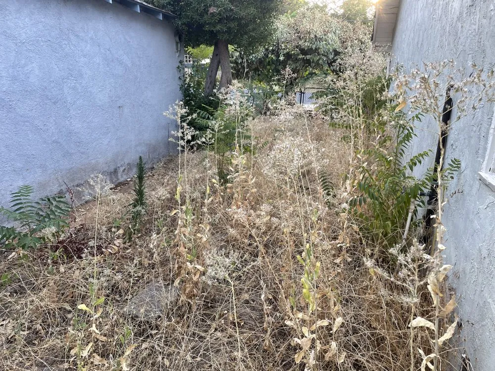 Reliable landscape installation in Redding, CA - North Valley Tree Service