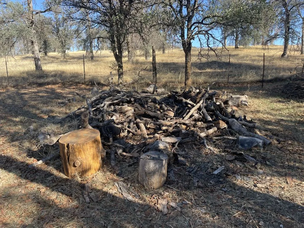 Affordable landscaping services in Redding, CA by North Valley Tree Service