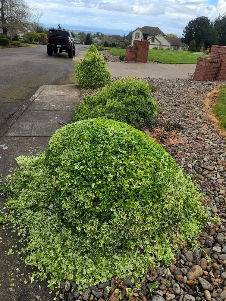 Affordable lawn mowing service for homes across Salem, OR - North West Elite Lawn Care