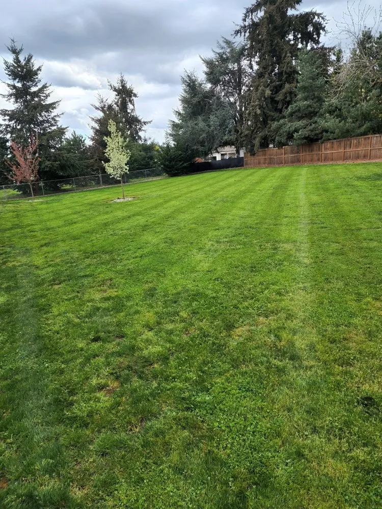 Trusted landscape installation experts serving Salem, OR - North West Elite Lawn Care